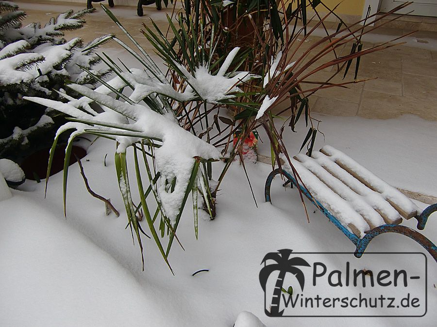 Schütze Pflanzen im Winter! Thermofolie 500x50 – Jetzt kaufen!, 9,95 €